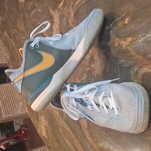 Lebron James Basketball Shoes